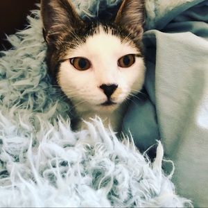 Meet your Posher, Nora